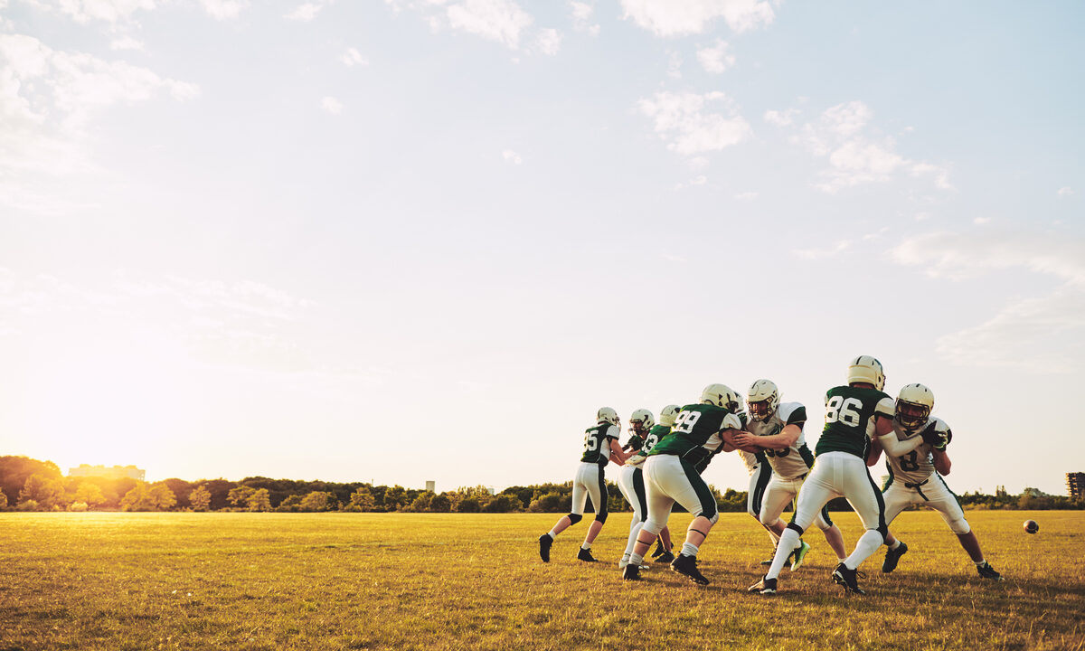 A Watershed Moment: USF Lands Brian Hartline to Lead a National Power Push
