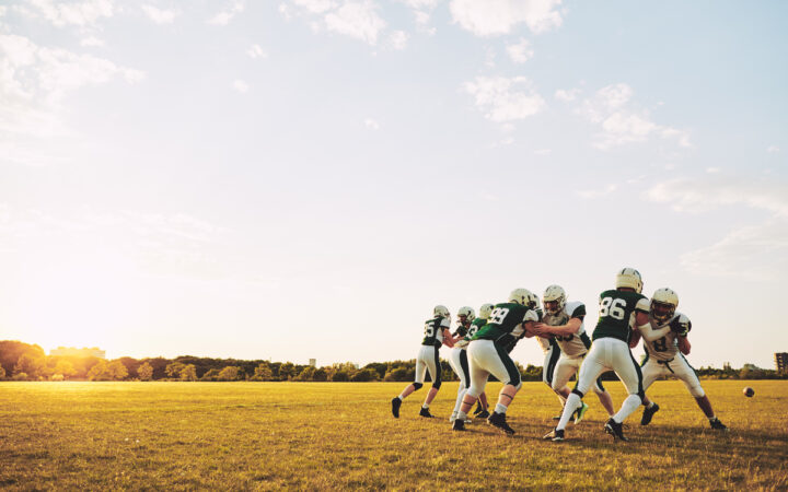 A Watershed Moment: USF Lands Brian Hartline to Lead a National Power Push