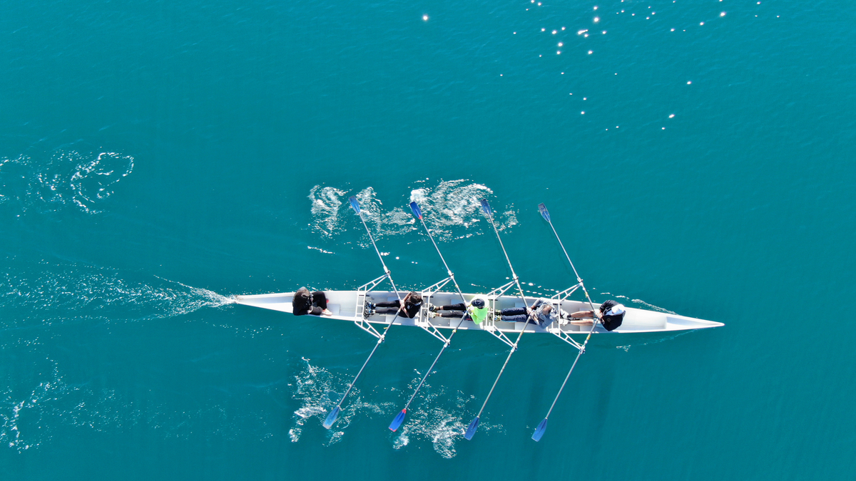 Tennessee Olympic Sports Overview: Track, Rowing & Emerging Disciplines