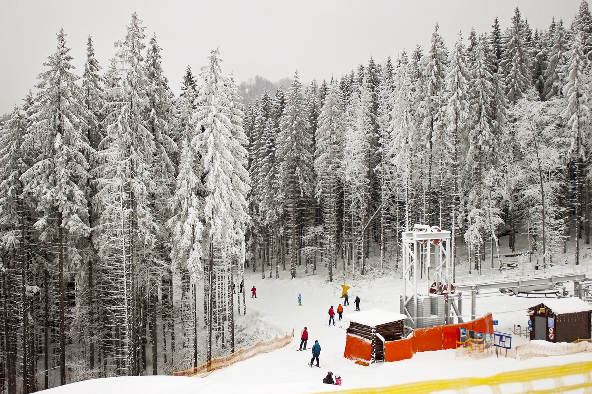 Olympic Qualification Pressure and How Athletes Manage It 4 Olympic Qualification Pressure and How Athletes Manage It