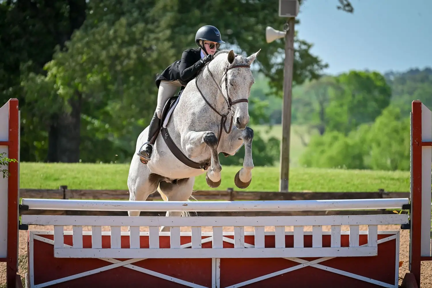 College rider with horse
