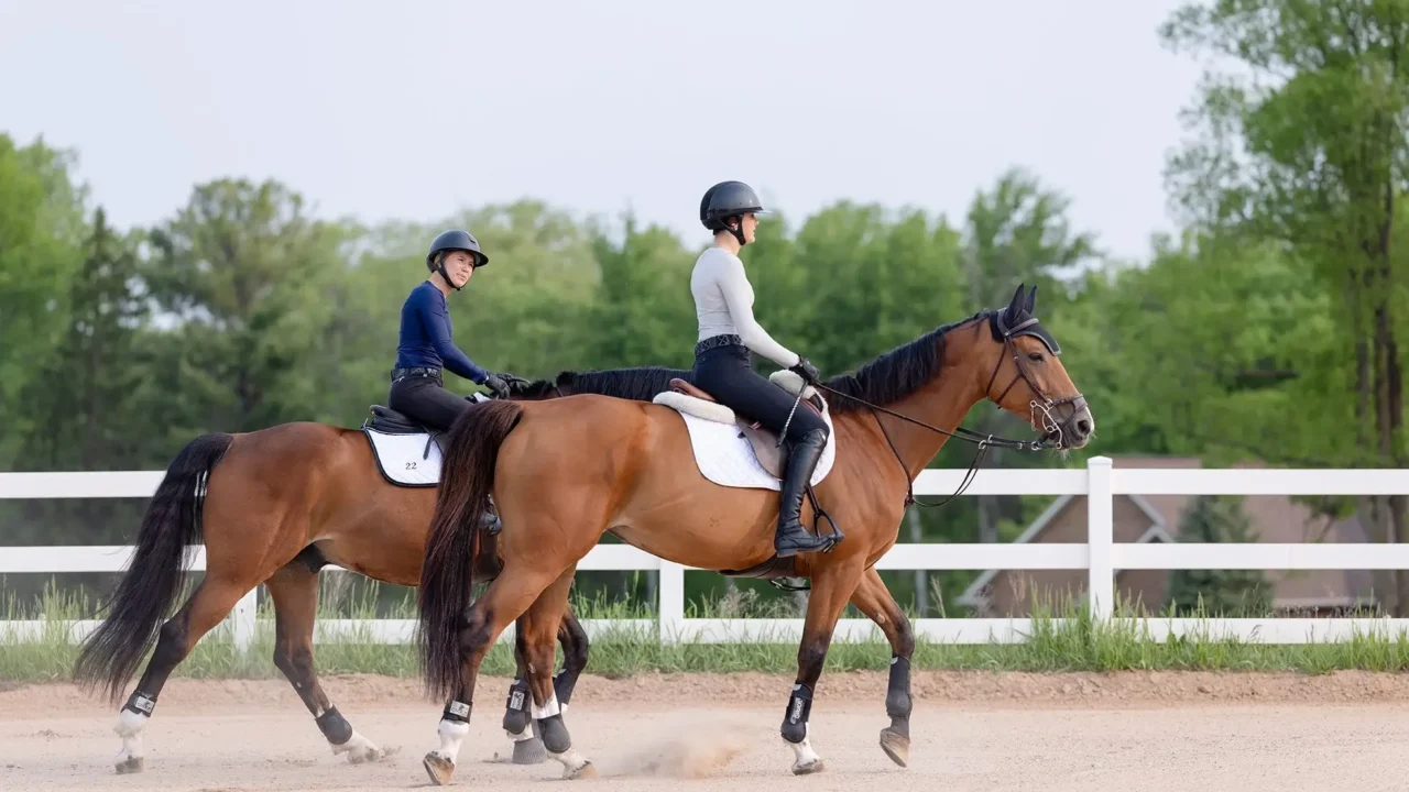 Equestrian student-athlete
