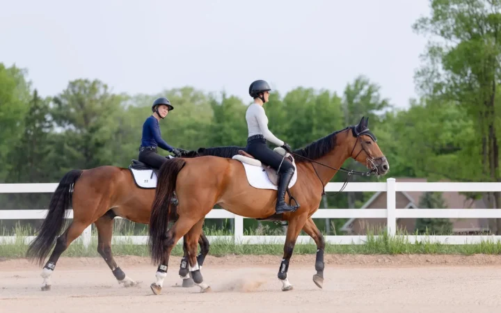 Equestrian student-athlete