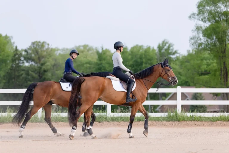 Equestrian student-athlete
