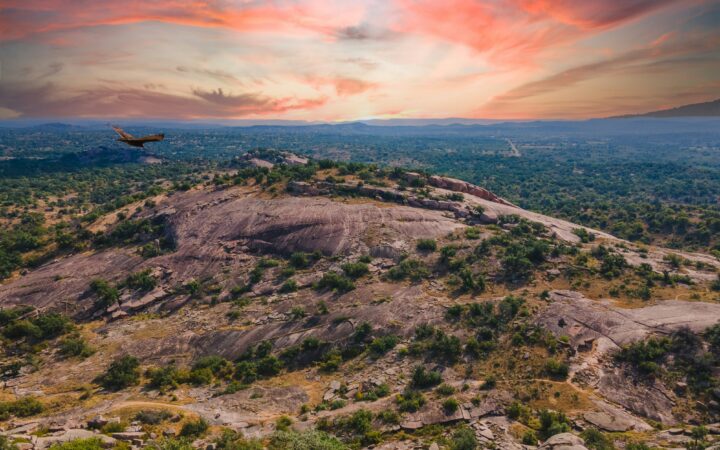 UTRGV NIL Deals in 2026: Rally the Valley, Record Revenue, and Inaugural Football