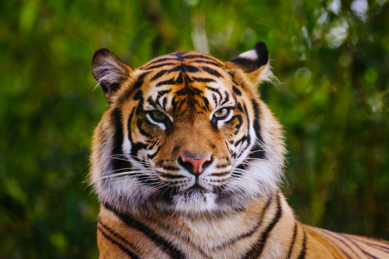 jack mccracken riwiyf9fgyk unsplash