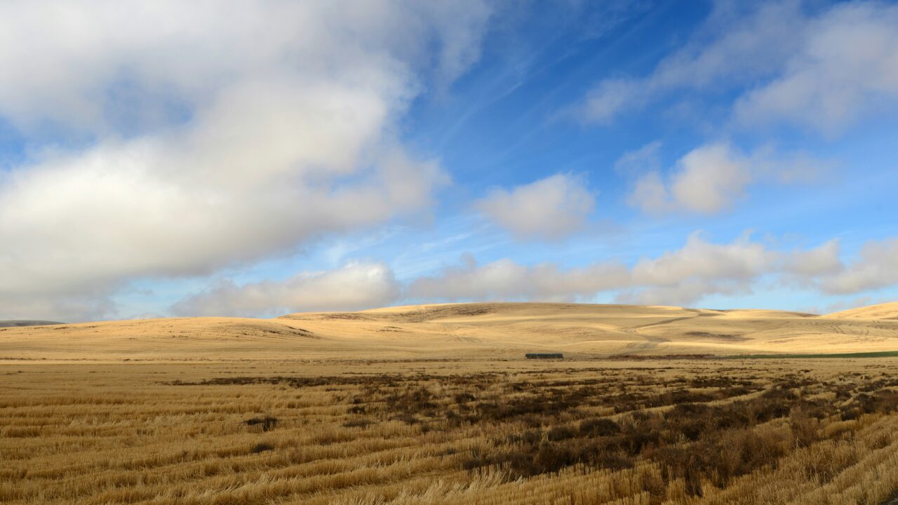 Eight Miles and a State Line: Inside the Battle of the Palouse
