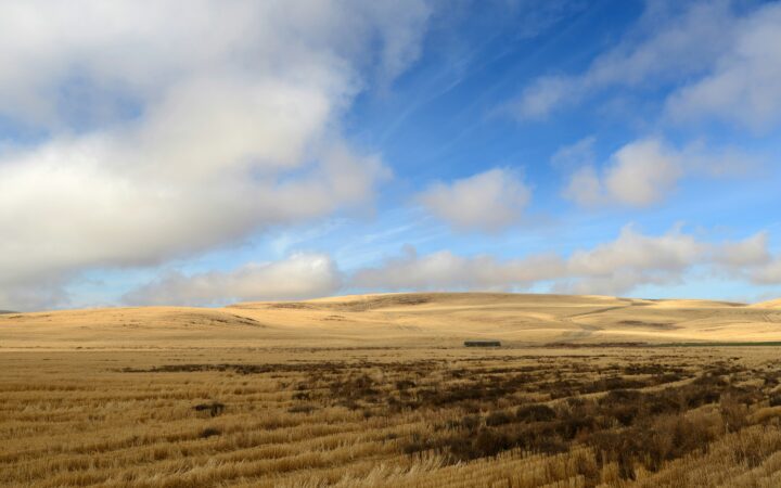 Eight Miles and a State Line: Inside the Battle of the Palouse