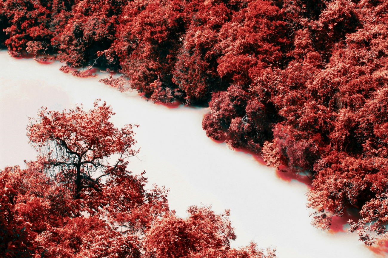 jason pan ilodmyp0tei unsplash
