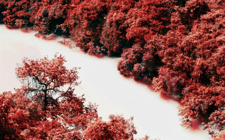 The Red River Rivalry: Inside the Allstate Red River Showdown
