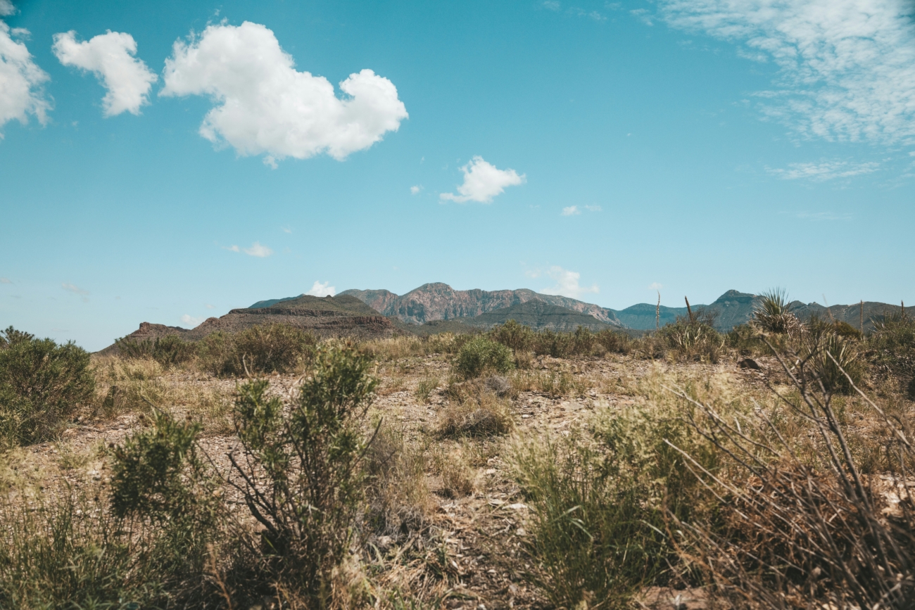 joshua case hh gg5k3hmg unsplash