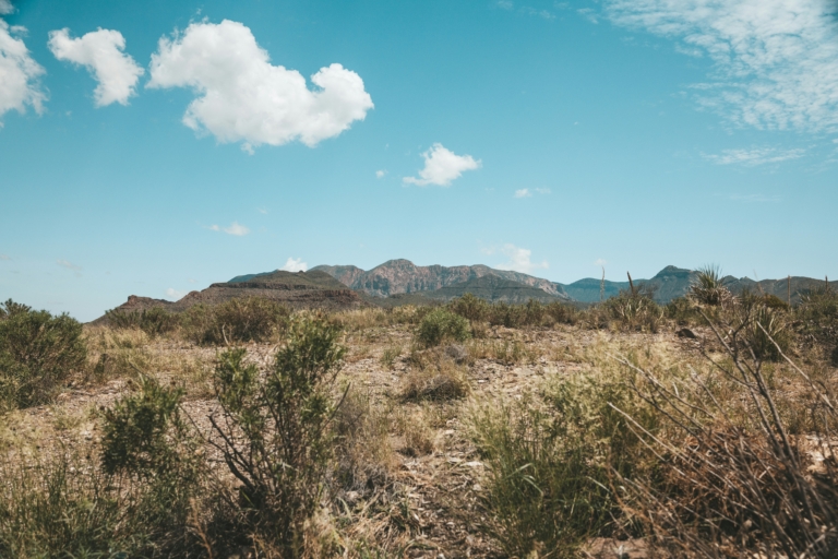 joshua case hh gg5k3hmg unsplash