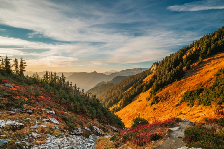 toan chu ykn g9l9nma unsplash