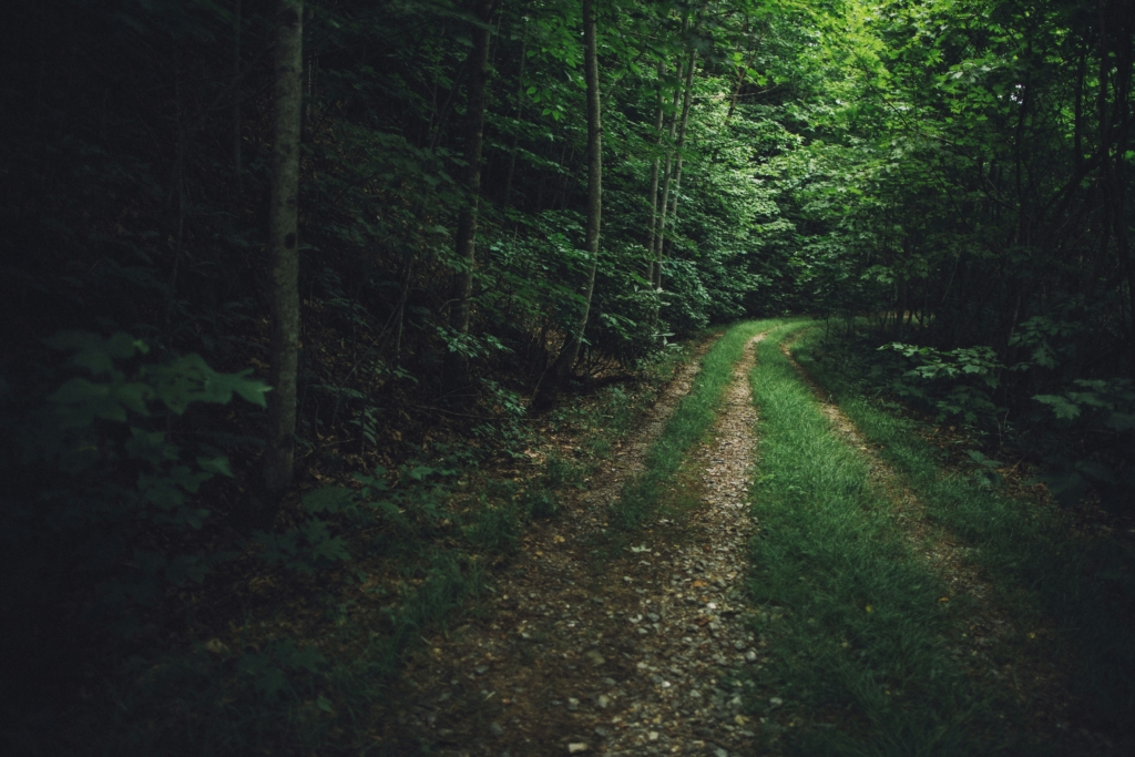 wes hicks wur2lkf4o7q unsplash