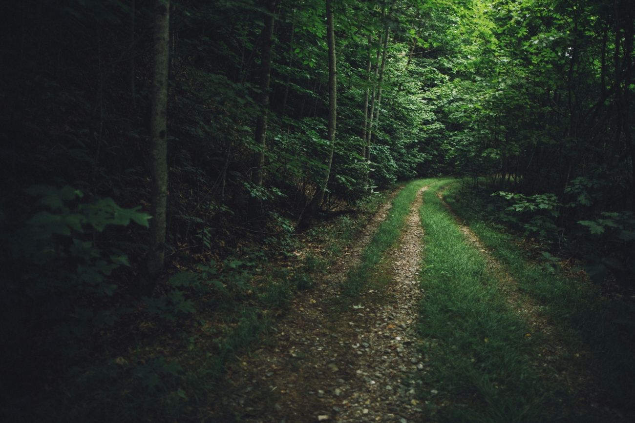 wes hicks wur2lkf4o7q unsplash