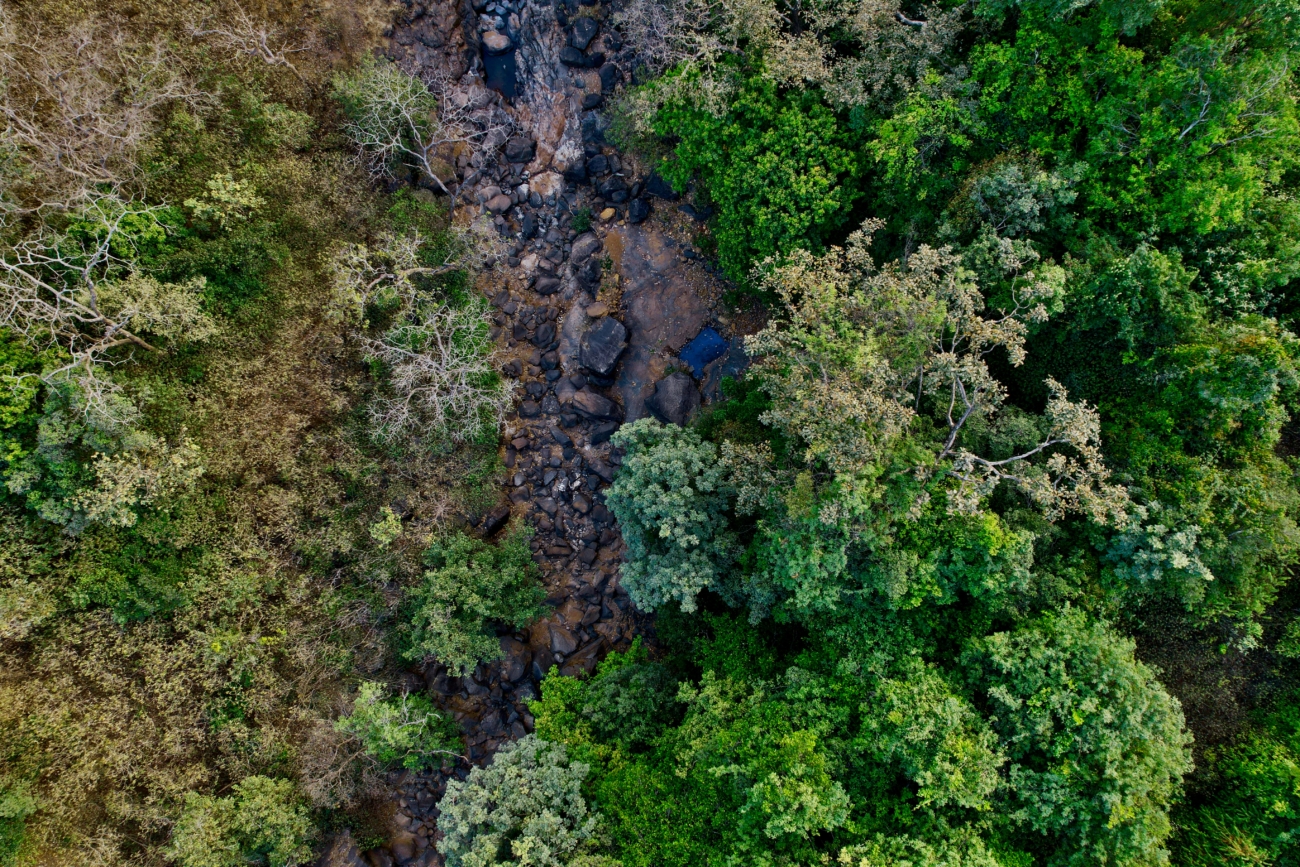 zoshua colah q0slsvphsyw unsplash