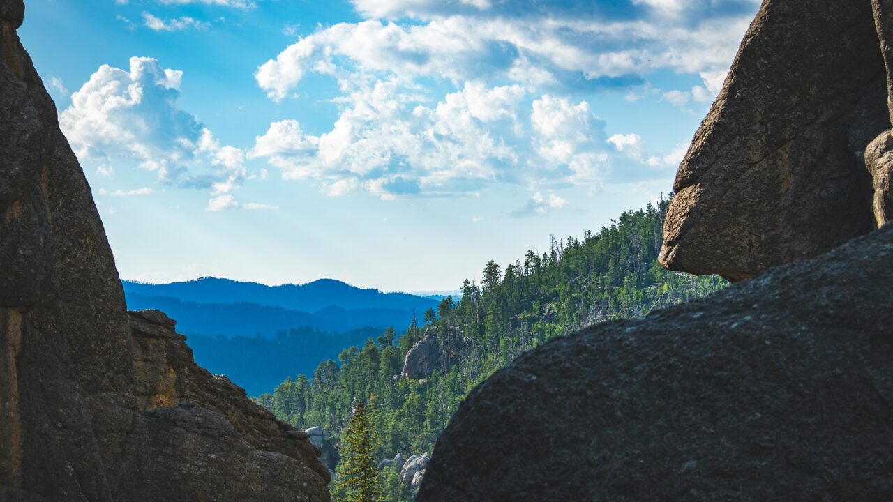 Playing for a Gold Mine: Inside the Black Hills Brawl