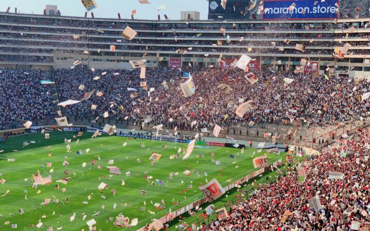 Sports Fans Rally Behind Their Athletes