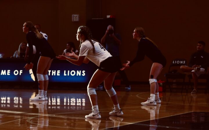 USF Volleyball's Season Rests on a New Set of Hands